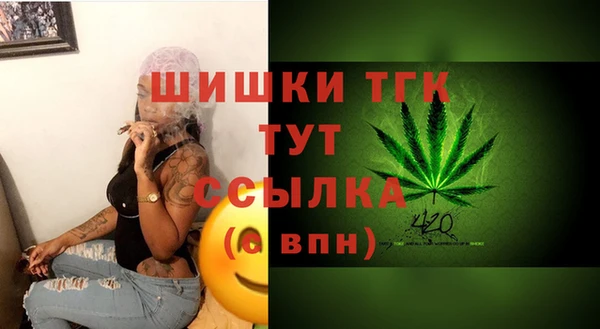 мескалин Заводоуковск