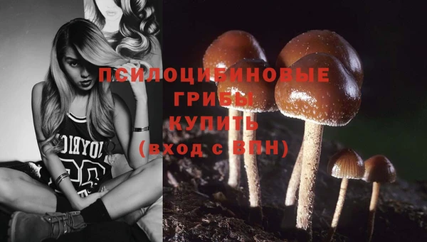 кокс Заволжск